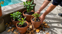 The Quick Trick That Keeps Potted Plants Alive Through Fall And Winter – And It Only Takes 5 Minutes