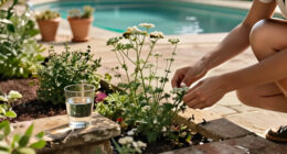 Yarrow: Benefits, Uses, And How To Grow It